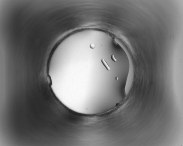 X0000089761328200707201934