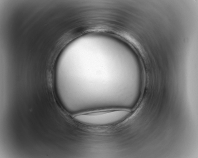 X0000089761329200707201934