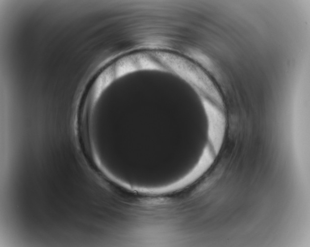 X0000089761331200707201934