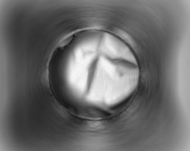 X0000089761332200707201934