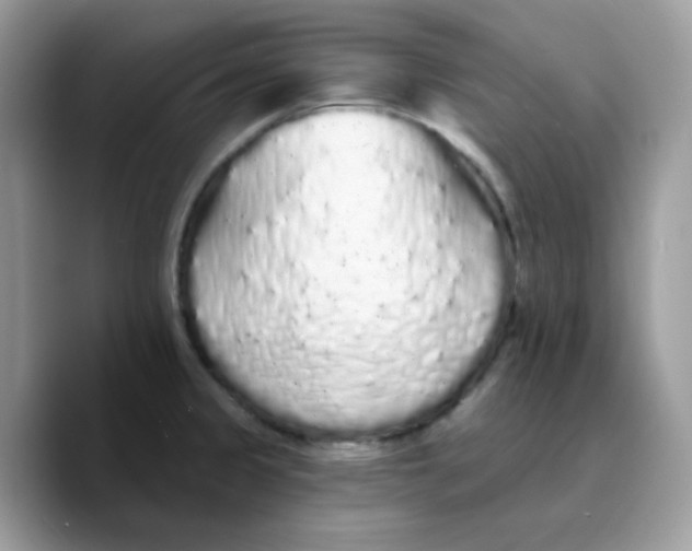 X0000089761333200707201934