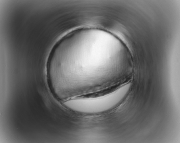 X0000089761335200707201934