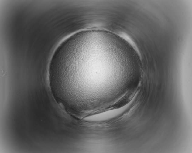 X0000089761336200707201934