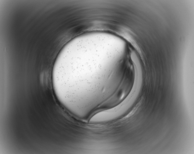 X0000089761337200707201934