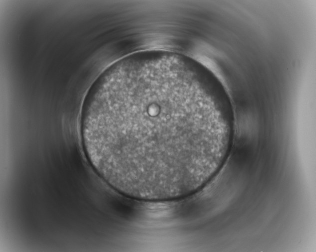 X0000089761338200707201935