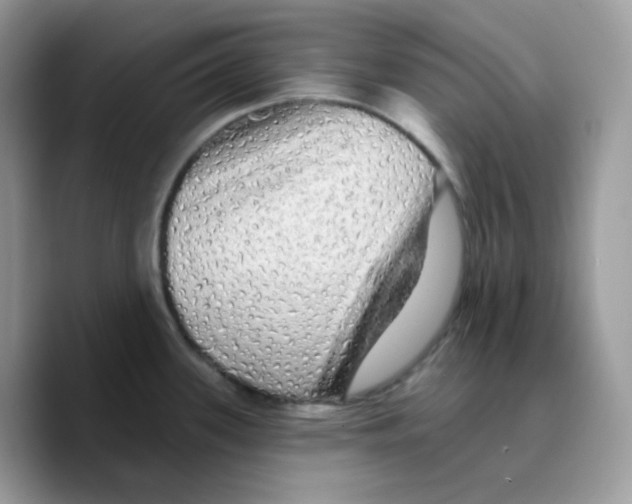 X0000089761339200707201935