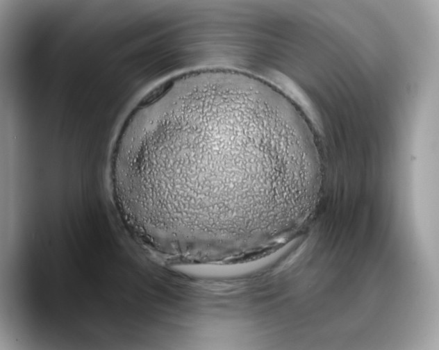 X0000089761340200707201935