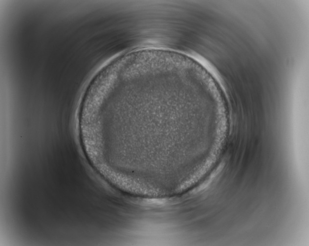 X0000089761341200707201935