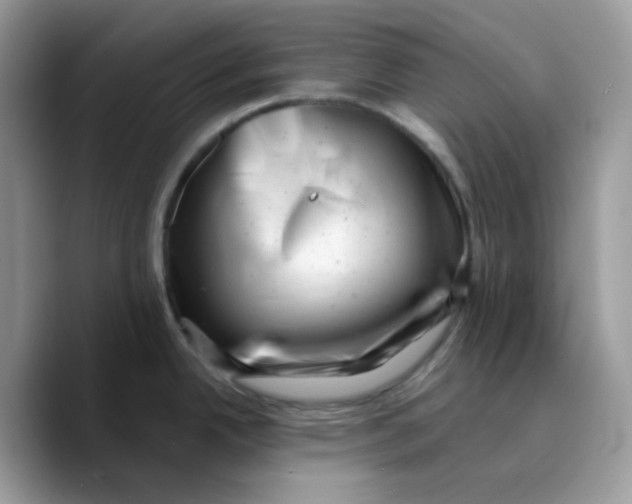 X0000089761342200707201935