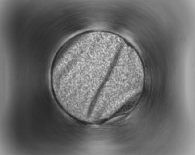 X0000089761343200707201935