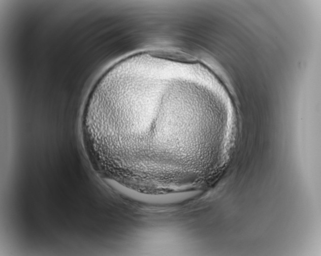 X0000089761344200707201935