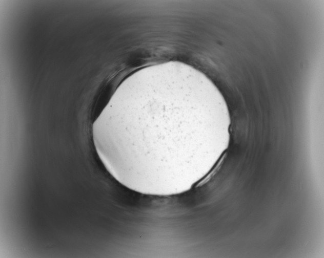 X0000089761345200707201934