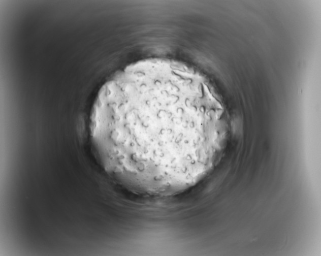 X0000089761347200707201934
