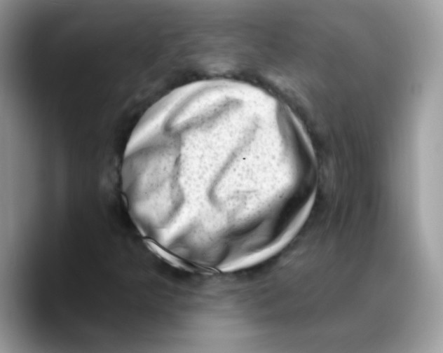 X0000089761349200707201934