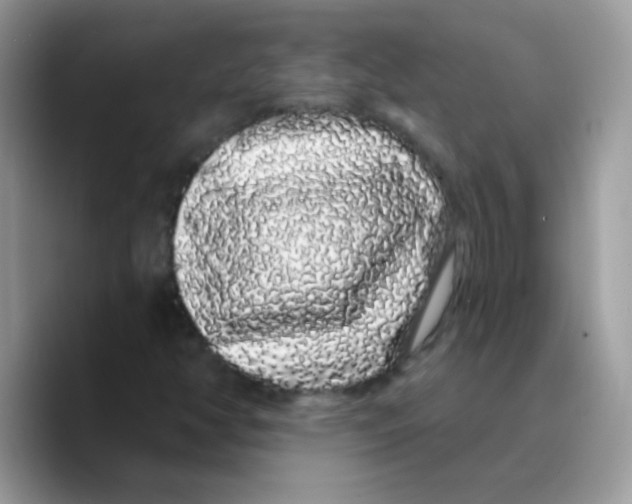 X0000089761350200707201934