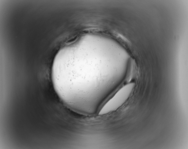 X0000089761351200707201934