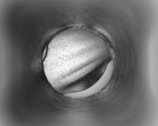 X0000089761352200707201934