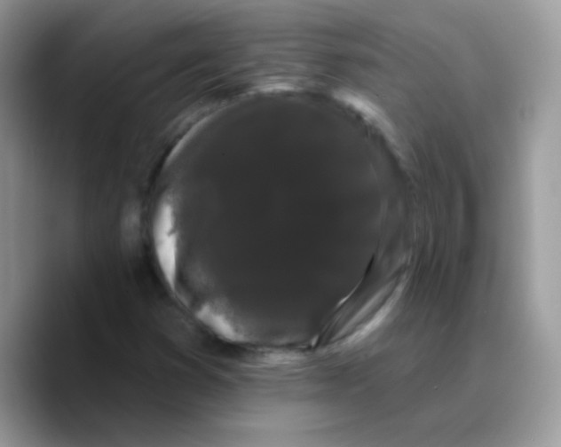 X0000089761353200707201934