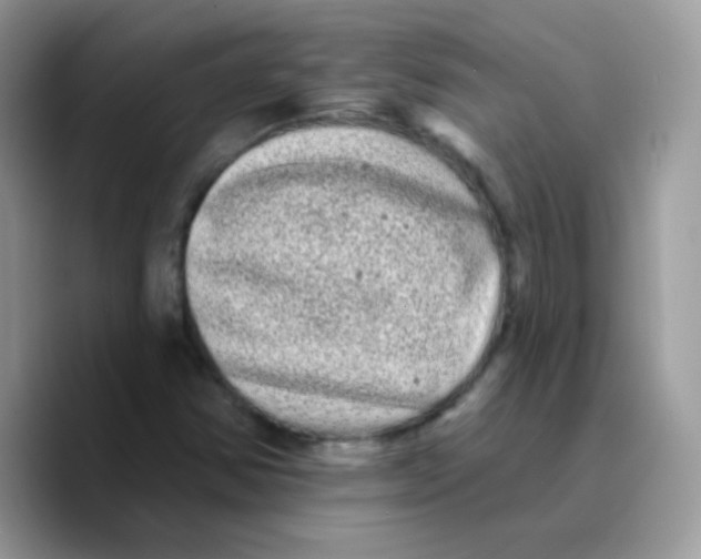 X0000089761354200707201934