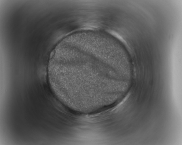 X0000089761355200707201934