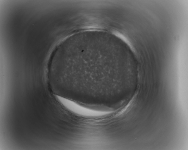 X0000089761357200707201934