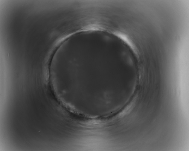 X0000089761358200707201934