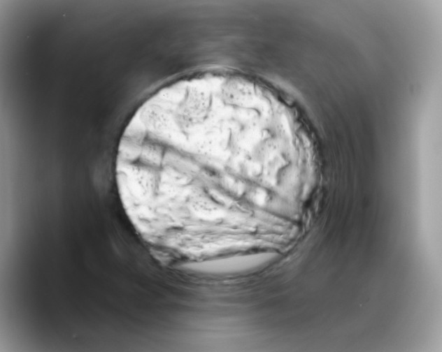 X0000089761359200707201934