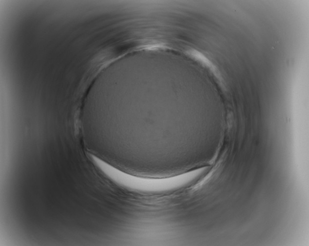 X0000089761361200707201934
