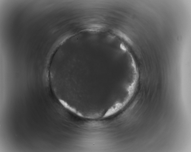 X0000089761362200707201934