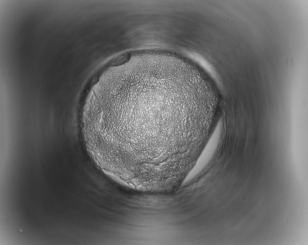 X0000089761364200707201934