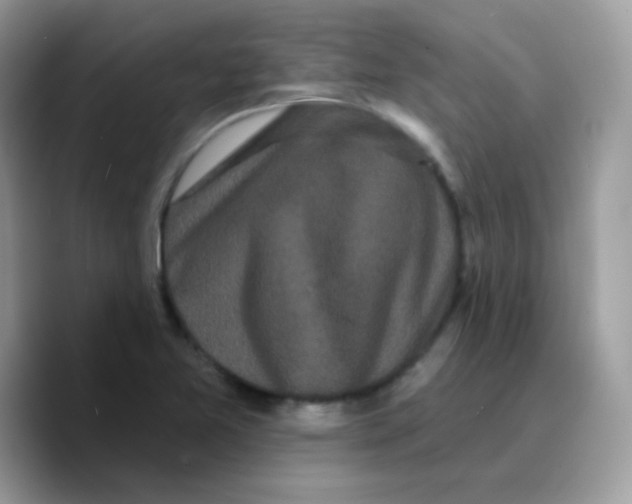 X0000089761365200707201934