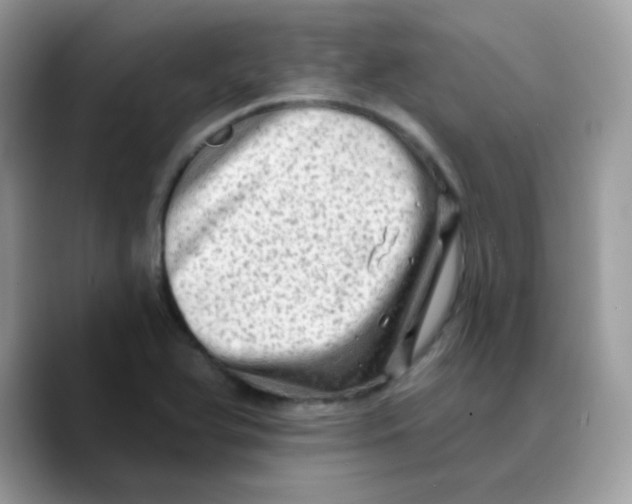 X0000089761366200707201934