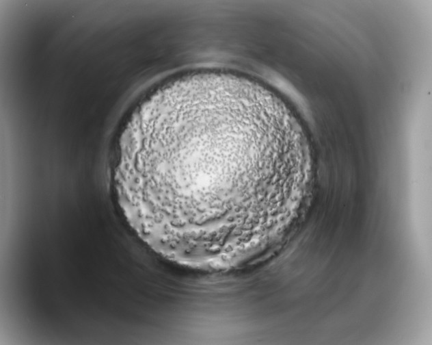 X0000089761368200707201934