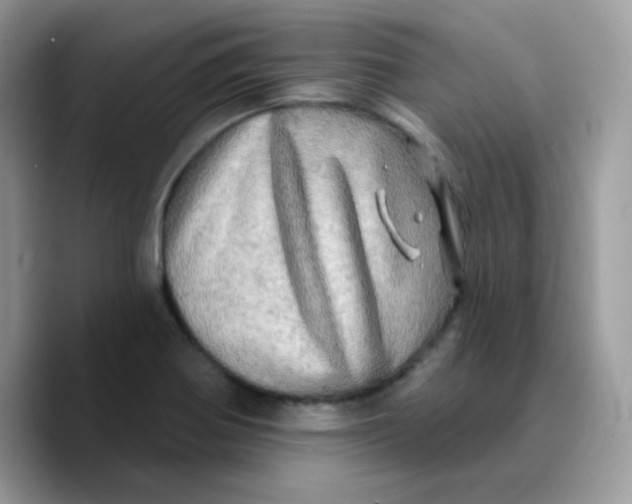X0000089761370200707201934
