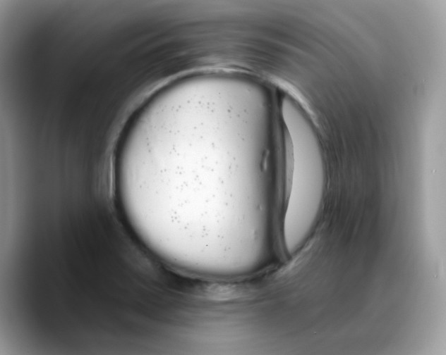 X0000089761371200707201934