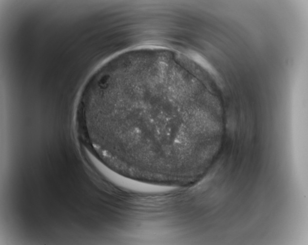 X0000089761372200707201934