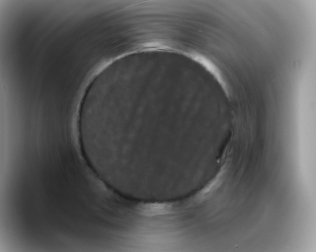 X0000089761373200707201934