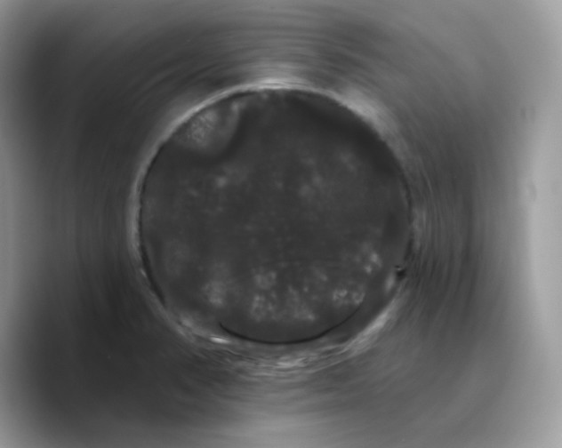 X0000089761374200707201934