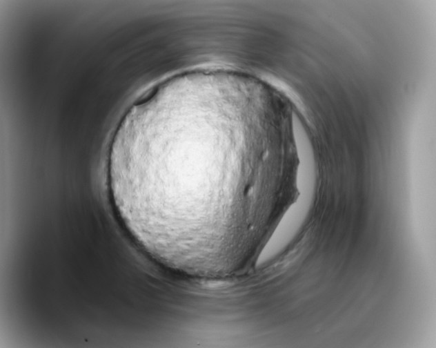 X0000089761375200707201934