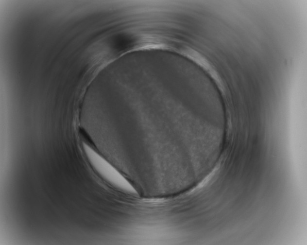 X0000089761377200707201934