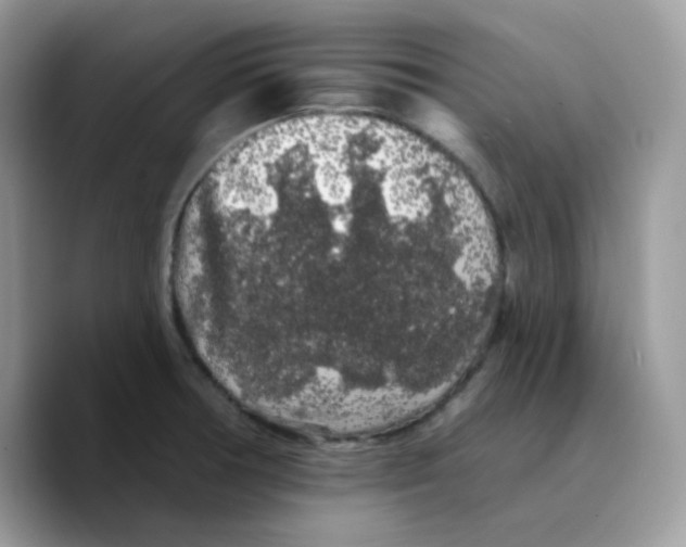 X0000089761378200707201934