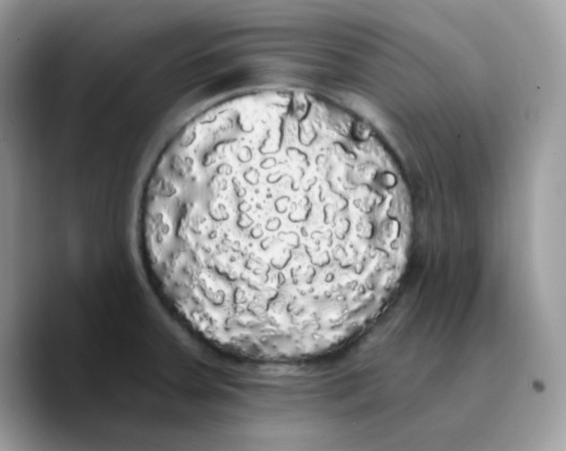 X0000089761379200707201934
