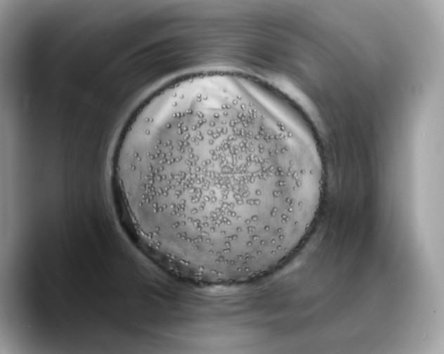X0000089761380200707201934