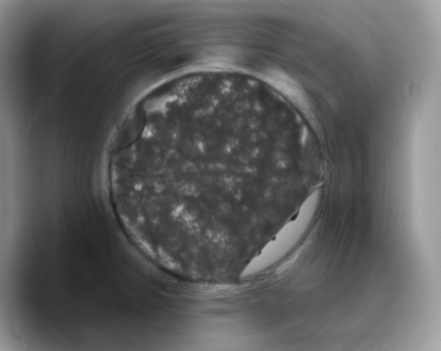 X0000089761382200707201933