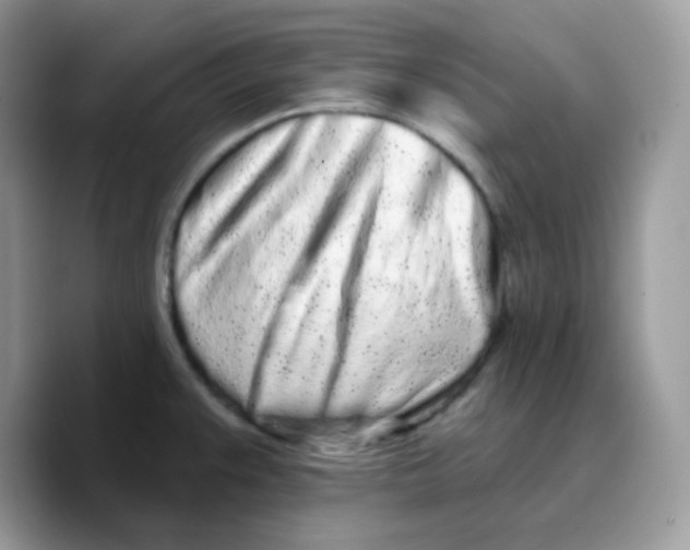 X0000089761383200707201933