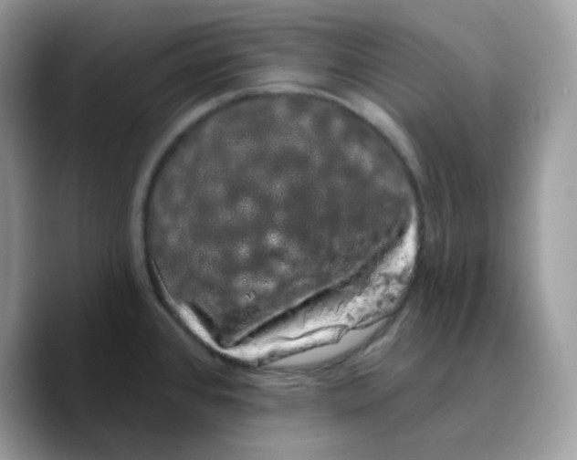 X0000089761384200707201933