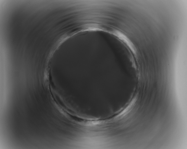 X0000089761385200707201933