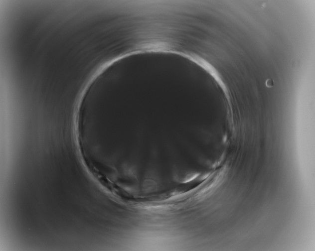 X0000089761389200707201933