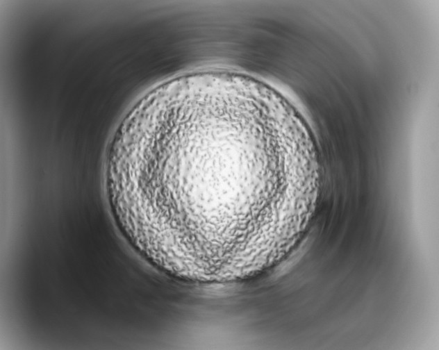 X0000089761390200707201933