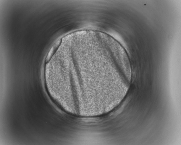 X0000089761391200707201933